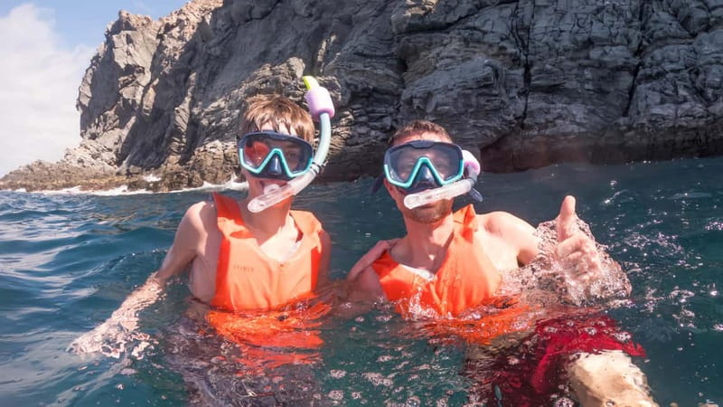 Tenerife: Kayak & Snorkeling Tour - Small Groups - Watching for dolphins near the fish farms