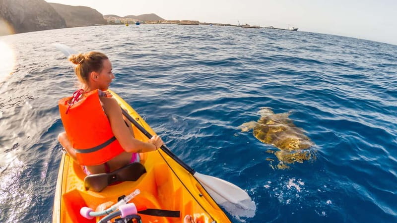 Tenerife: Kayak & Snorkeling Tour - Small Groups - The paddle back to Los Cristianos