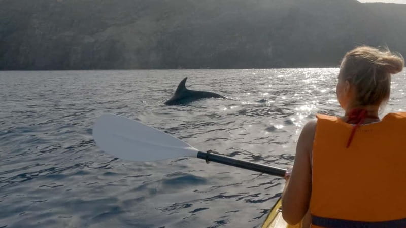 Tenerife: Kayak & Snorkeling Tour - Small Groups - What the $37 price really buys you