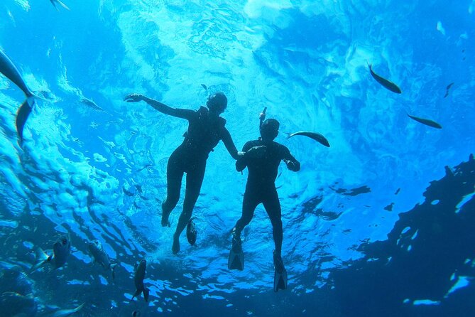 Tenerife Kayak Tour with Marine Wildlife Spotting and Snorkeling - Paddling along Tenerife’s south coast