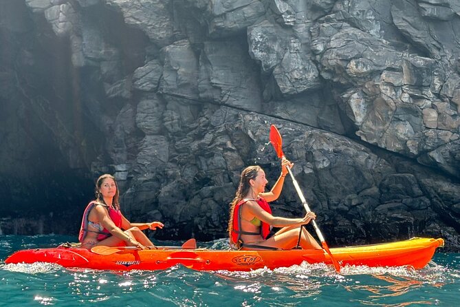 Tenerife Kayak Tour with Marine Wildlife Spotting and Snorkeling - A friendly guide, with a few details to clarify