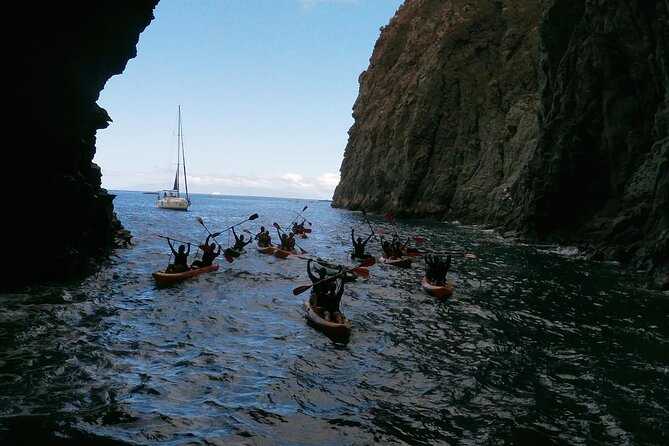Tenerife Kayak Tour with Marine Wildlife Spotting and Snorkeling - FAQ