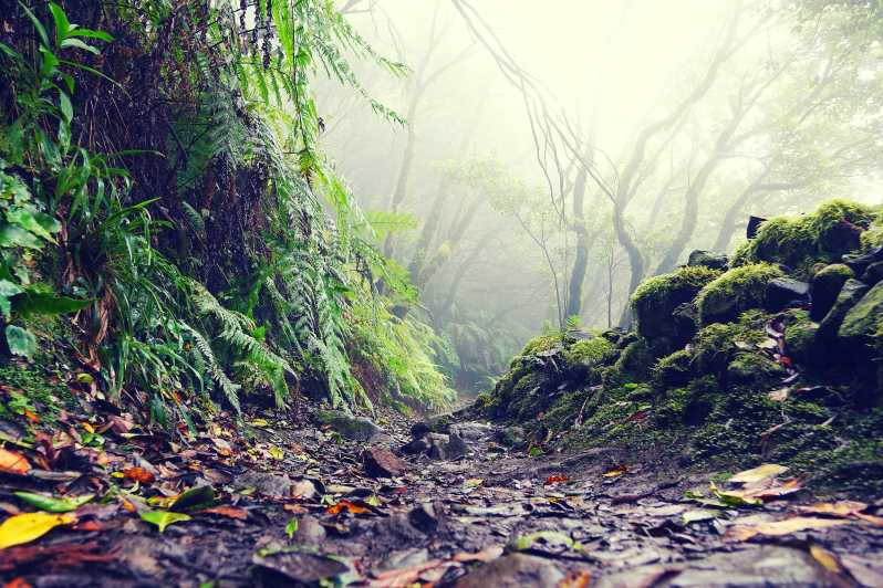 Tenerife: La Laguna & Anaga hike - From Tenerife’s resort coast to the Anaga mountains