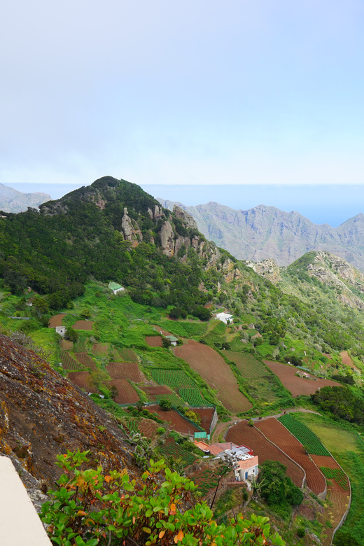 Tenerife: La Laguna & Anaga hike - La Laguna and the one-hour market stop