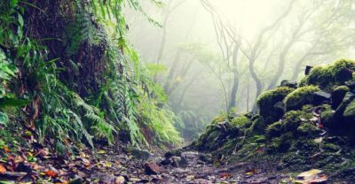 La Laguna & Anaga hike