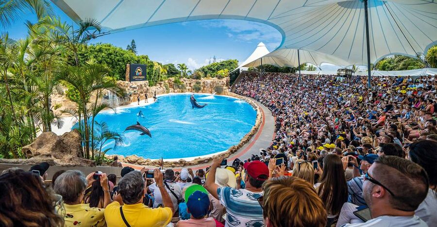 Tenerife: Loro Parque Entry Ticket - Why Loro Parque Works as a Full-Day Attraction