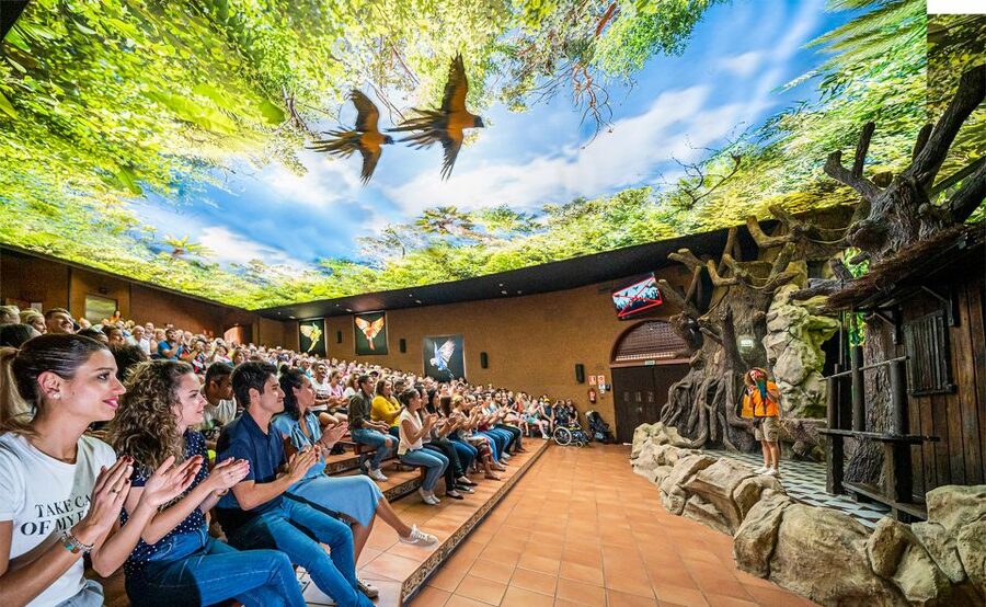 Tenerife: Loro Parque Entry Ticket - Arriving at the Main Entrance in Puerto de la Cruz