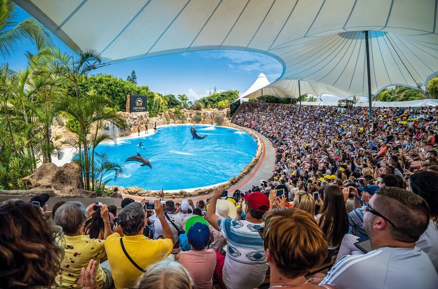 Tenerife: Loro Parque Entry Ticket - Orca Ocean, Dolphins, and Sea Lions