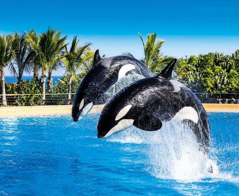 Tenerife: Loro Parque Entry Ticket - Kinderlandia and the Family Break