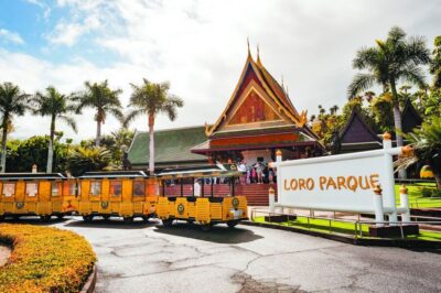 Loro Parque & Siam Park Entry Ticket with Transfer