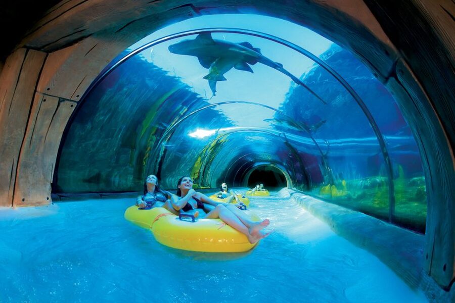 Tenerife: Loro Parque & Siam Park Entry Ticket with Transfer - Siam Park: slides, queues, and Thai-style design