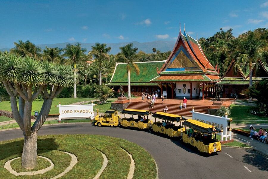Tenerife: Loro Parque & Siam Park Entry Ticket with Transfer - Where the package saves money and where it does not