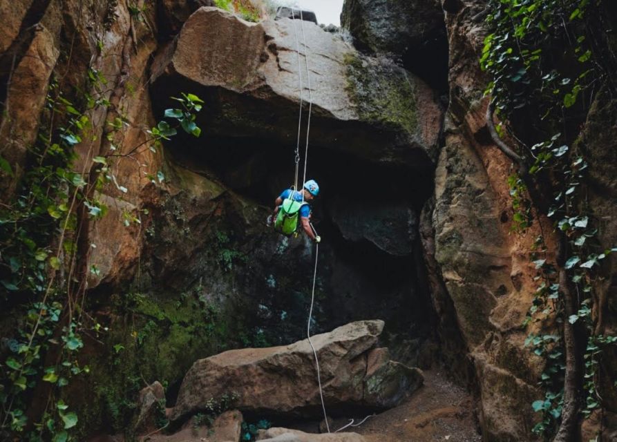Tenerife: Los Arcos Canyoning Tour with Guide - Is $82 good value?