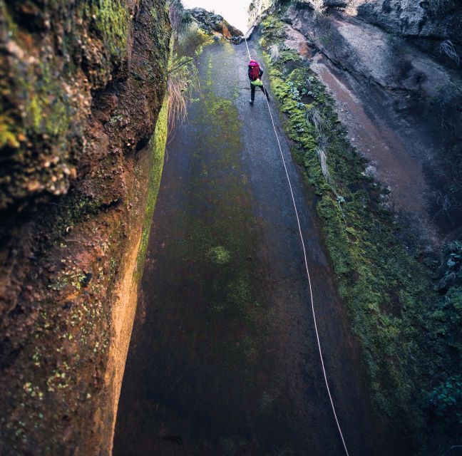 Tenerife: Los Arcos Canyoning Tour with Guide - Who should book this canyoning trip?