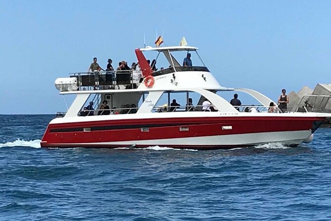 Tenerife Los Cristianos: Whale and Dolphin Eco-Yacht and Swim Stop - The Cave of Love and the return along the coast