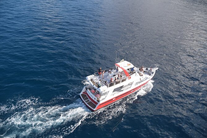 Tenerife Los Cristianos: Whale and Dolphin Eco-Yacht and Swim Stop - The swim stop, with one important warning