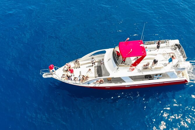 Tenerife Los Cristianos: Whale and Dolphin Eco-Yacht and Swim Stop - Seeing pilot whales, dolphins, turtles, and flying fish