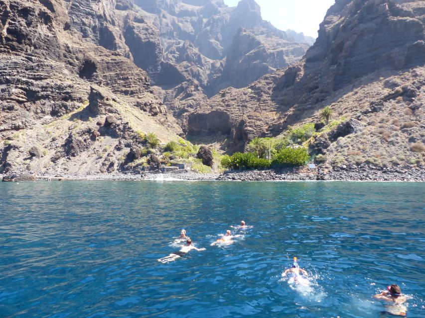 Tenerife: Los Gigantes Whale Watching Cruise by Sail Boat - FAQ