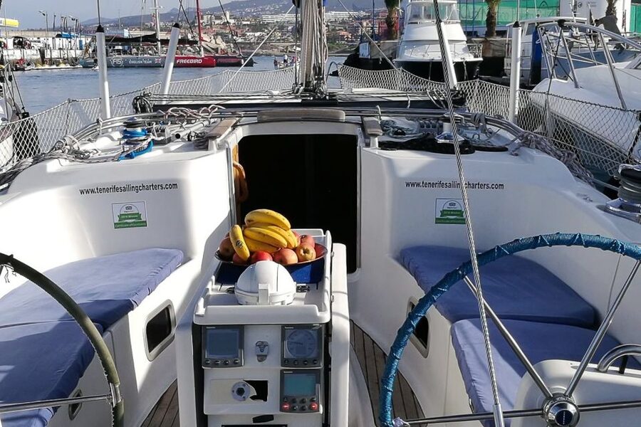 Tenerife: Luxury Private Whale & Dolphin Watching Tour - A secluded bay for swimming and snorkeling