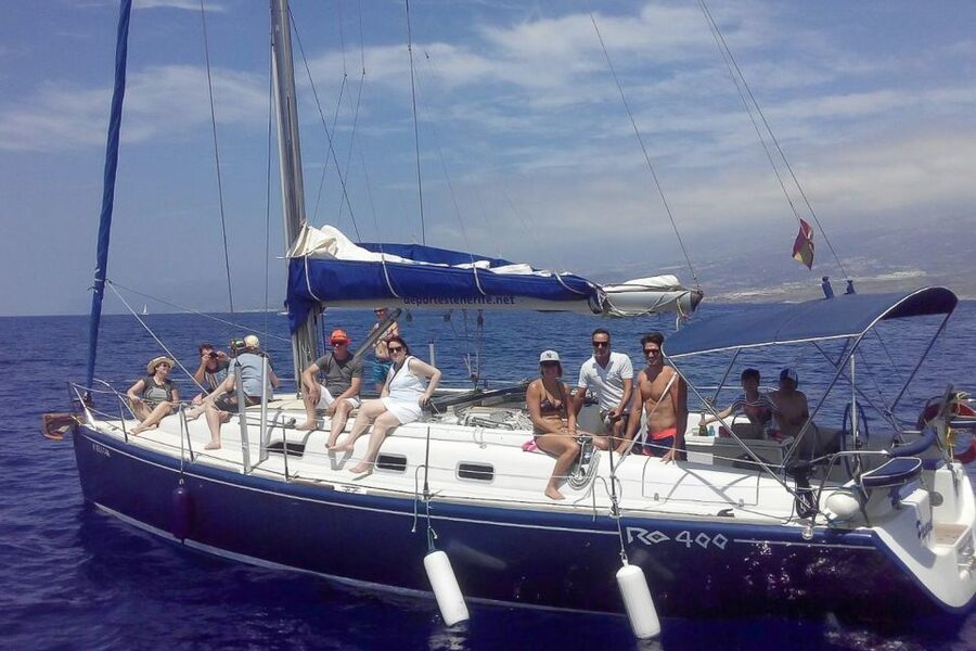 Tenerife: Luxury Private Whale & Dolphin Watching Tour - What the private format changes