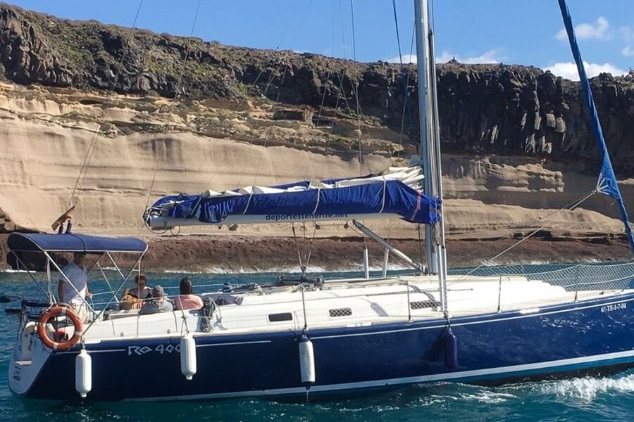 Tenerife: Luxury Private Whale & Dolphin Watching Tour - Who will get the most from this cruise