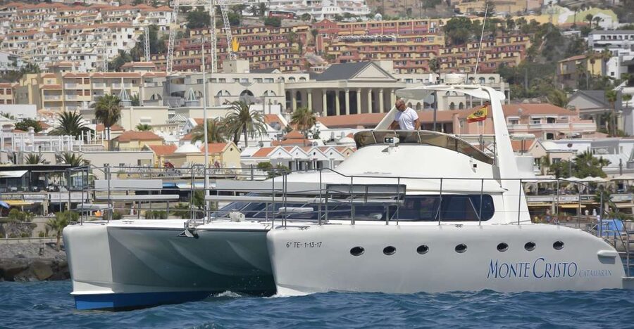 Tenerife: Marine-Life Tour with Transfer, Buffet and Drinks - Why pilot whales make this Tenerife cruise special