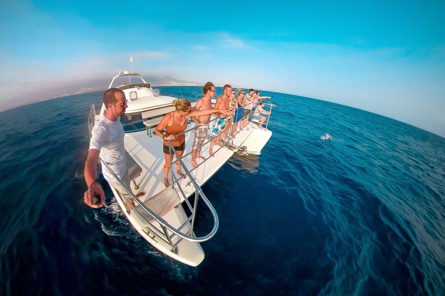 Tenerife: Marine-Life Tour with Transfer, Buffet and Drinks - Is $69 a fair price?