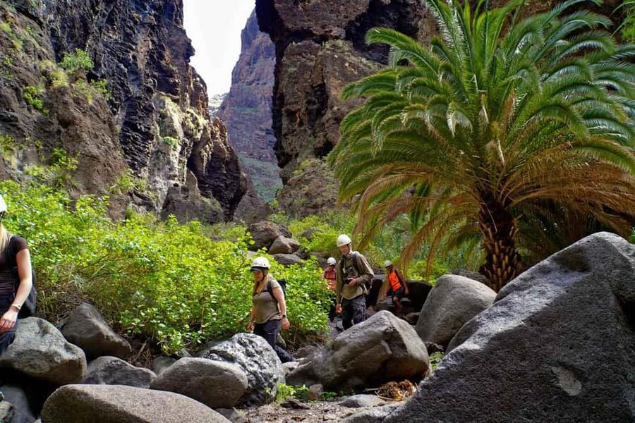 Tenerife : Masca ravine: Descent & boat trip - Key points to know before booking