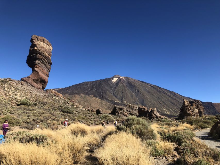 Tenerife: Mount Teide, Masca, Icod and Garachico Day Trip - Icod de los Vinos and the Dragon Tree