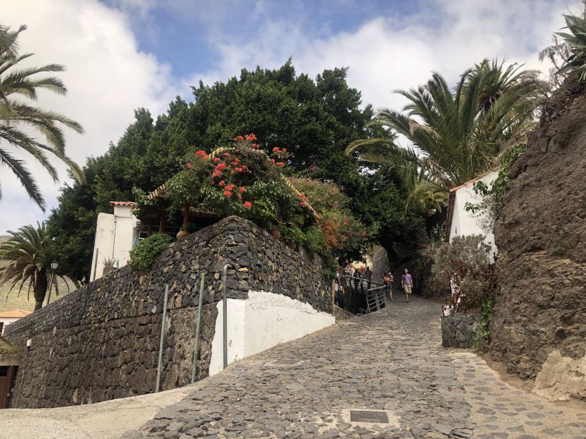 Tenerife: Mount Teide, Masca, Icod and Garachico Day Trip - Is $65 good value?