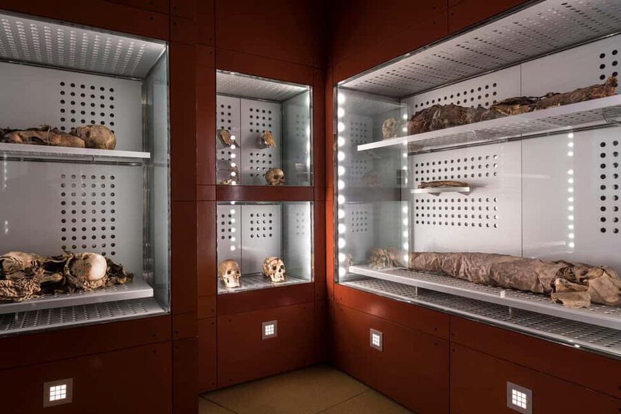 Tenerife: MUNA Museum Admission Ticket and Teide Legend Tour - Why the MUNA and Teide pairing works