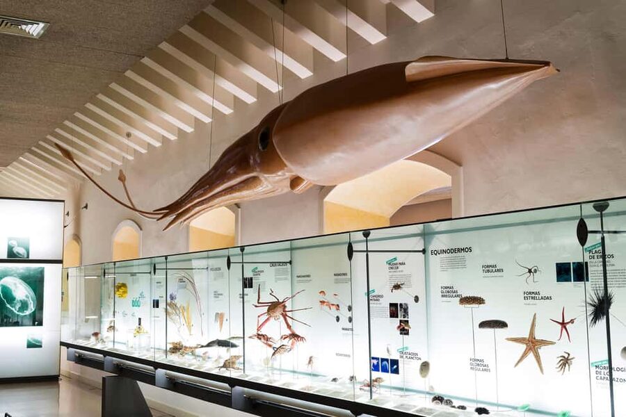 Tenerife: MUNA Museum Admission Ticket and Teide Legend Tour - Reaching the Teide Cable Car Visitors’ Centre