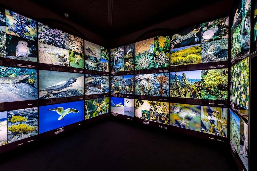 Tenerife: MUNA Museum Admission Ticket and Teide Legend Tour - Price, timing, and overall value