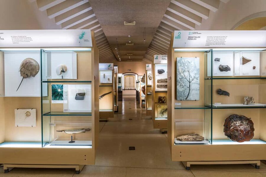 Tenerife: MUNA Museum Admission Ticket and Teide Legend Tour - Who should choose this experience