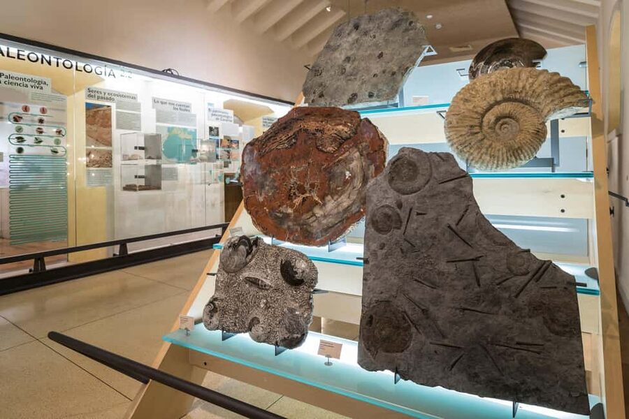 Tenerife: MUNA Museum Admission Ticket and Teide Legend Tour - Should you book the MUNA and Teide ticket?