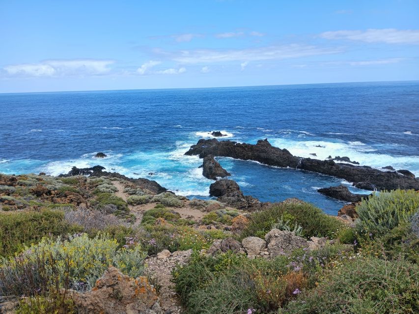 Tenerife: North Coast Landscapes Private Day Tour - Why Tenerife’s north coast deserves a day