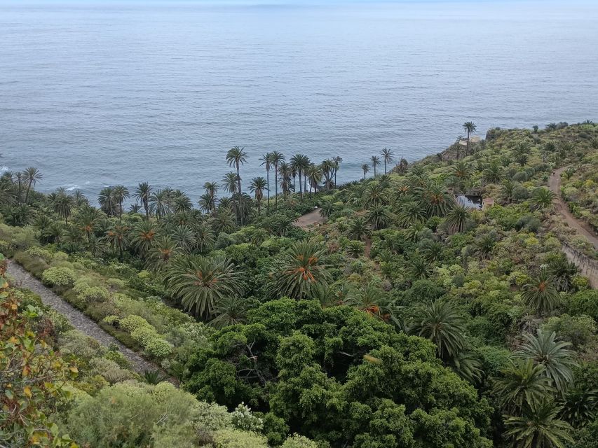 Tenerife: North Coast Landscapes Private Day Tour - Socorro Beach and the wild Atlantic edge