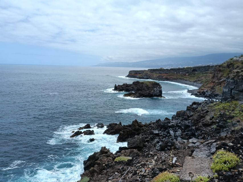 Tenerife: North Coast Landscapes Private Day Tour - Charco del Viento, a lava-made swimming bay