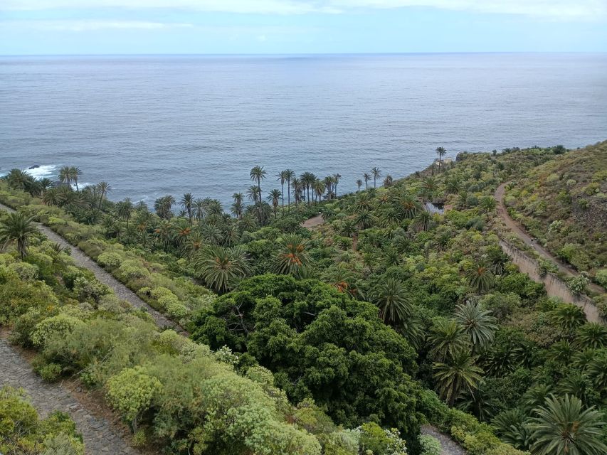 Tenerife: North Coast Landscapes Private Day Tour - Playa La Arena and the black sands of Tacoronte