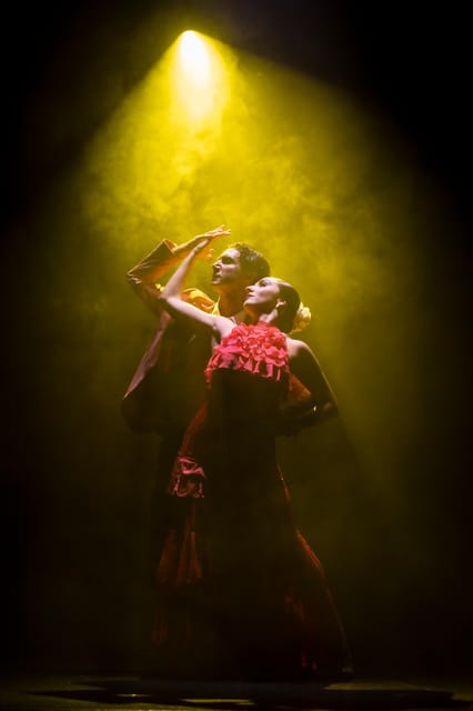 Tenerife : Olé Flamenco Show by Fran Chafino Ticket - Key points to know before booking