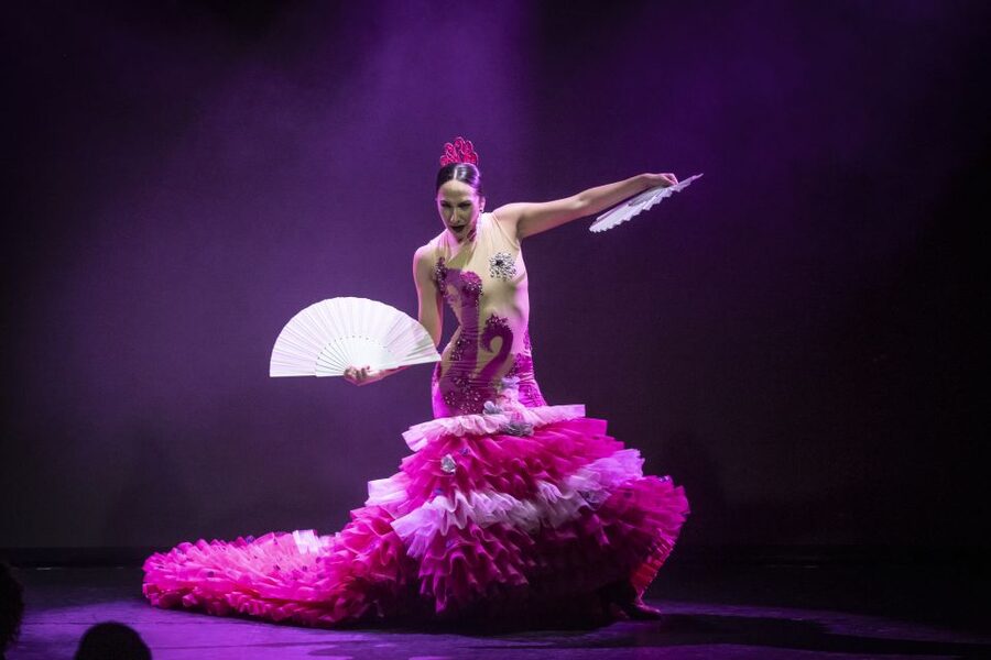 Tenerife : Olé Flamenco Show by Fran Chafino Ticket - Food, drinks, and ticket value at about $60