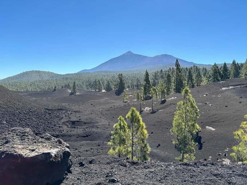 Tenerife: premium e-bike ride at Chineyro volcanic area - Riding from Santiago del Teide into volcanic country