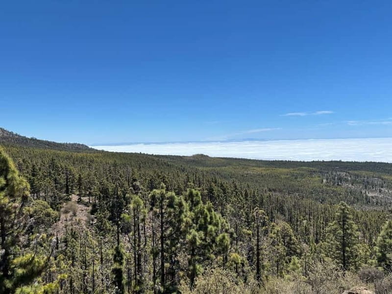 Tenerife: premium e-bike ride at Vilaflor- Lunar Landscape - From Arona or Adeje to high-country Vilaflor