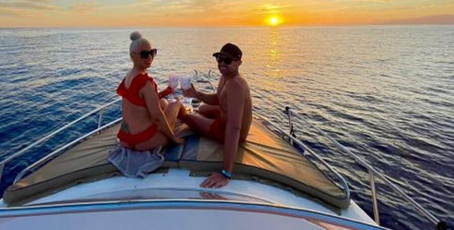 Tenerife: Private Boat Charter with Tapas & Drinks - Wildlife watching from a small boat