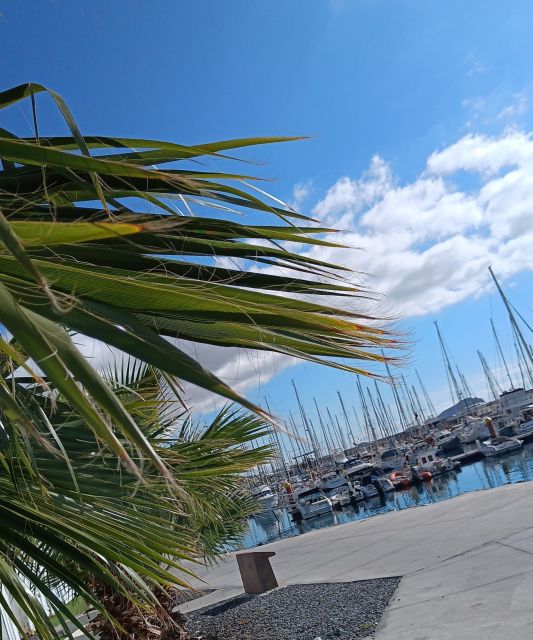 Tenerife: PRIVATE Catamaran cruise with Lunch and Drinks - Who will enjoy this 3.5-hour charter most