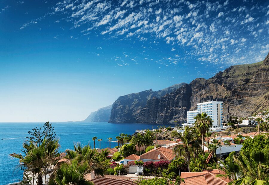 Tenerife: Private Day Tour of the Island with Hotel Pickup - Key points to know before booking