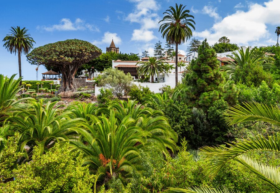 Tenerife: Private Day Tour of the Island with Hotel Pickup - What this private Tenerife tour is really designed to do