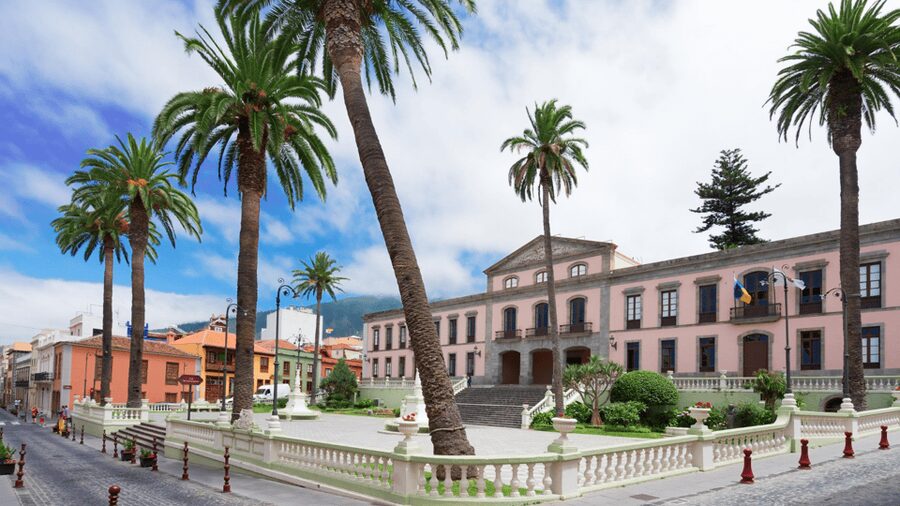 Tenerife: Private Day Tour of the Island with Hotel Pickup - Icod de los Vinos and the thousand-year-old Drago