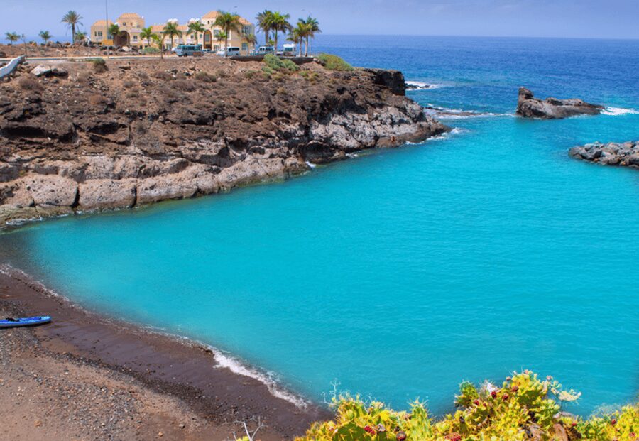 Tenerife: Private Day Tour of the Island with Hotel Pickup - Costa Adeje and the modern south