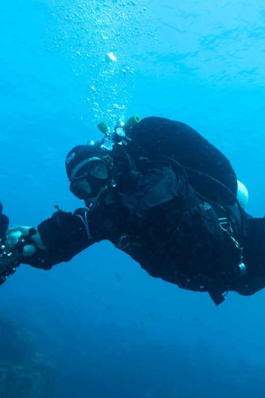 Tenerife : Private Dive for Beginners from a Boat - A gentle first step into Tenerife’s sea